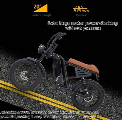 20-Inch Wide-Tire Electric Bicycle, 48V 750W Motor, 7-Speed Shimano Gearbox, 48V 13Ah Battery, 48V 2A Adapter, Top Speed 35MPH , Dual Suspension.