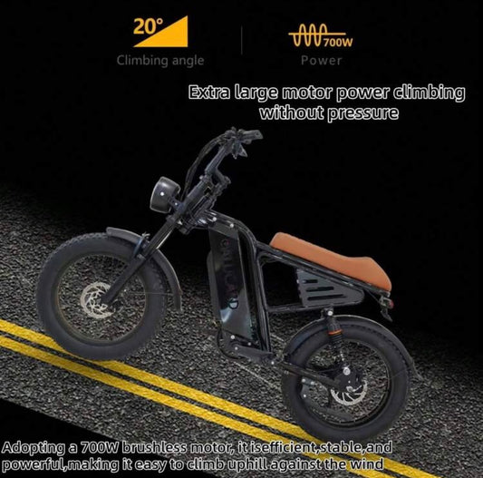 20-Inch Wide-Tire Electric Bicycle, 48V 750W Motor, 7-Speed Shimano Gearbox, 48V 13Ah Battery, 48V 2A Adapter, Top Speed 35MPH , Dual Suspension.